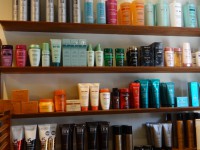 /album/productes/dsc06931-jpg/